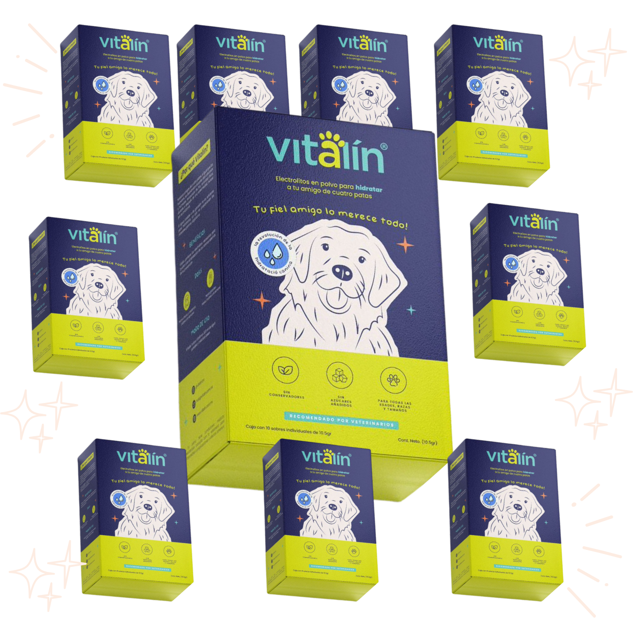 Distribuidores - Kit Esencial (10 cajas)